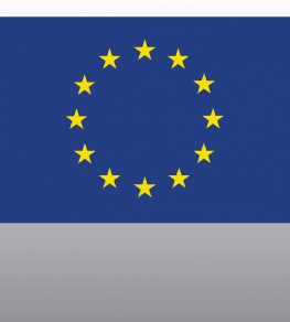 Постоянная лицензия ЕС